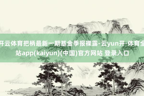 开云体育把柄最新一期基金季报裸露-云yun开·体育全站app(kaiyun)(中国)官方网站 登录入口