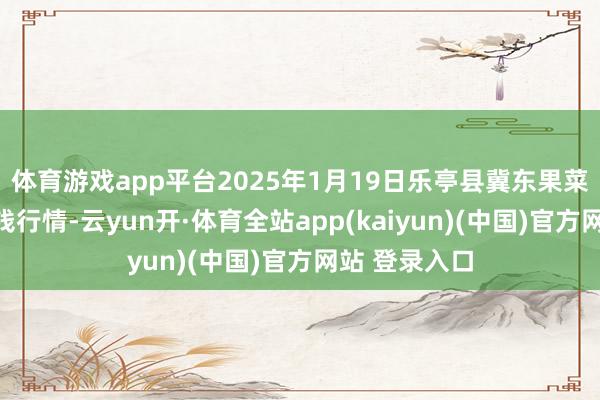 体育游戏app平台2025年1月19日乐亭县冀东果菜批发商场价钱行情-云yun开·体育全站app(kaiyun)(中国)官方网站 登录入口