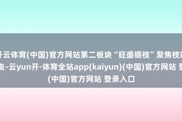 开云体育(中国)官方网站第二板块“旺盛缀枝”聚焦枝端似锦鸟虫-云yun开·体育全站app(kaiyun)(中国)官方网站 登录入口