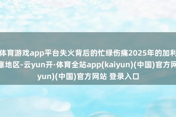 体育游戏app平台失火背后的忙绿伤痛2025年的加利西亚省奥伦塞地区-云yun开·体育全站app(kaiyun)(中国)官方网站 登录入口