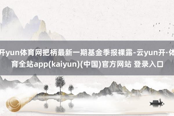 开yun体育网把柄最新一期基金季报裸露-云yun开·体育全站app(kaiyun)(中国)官方网站 登录入口